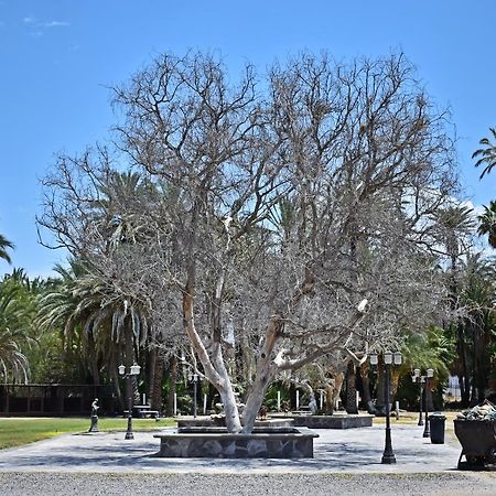 La Huerta Hotel San Ignacio  エクステリア 写真